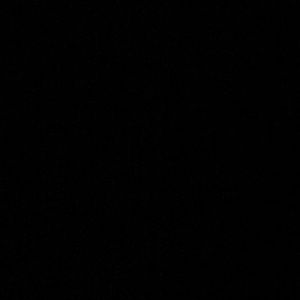 Meet your Posher, Dylan